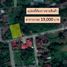  Land for sale in Chiang Mai, Chae Chang, San Kamphaeng, Chiang Mai