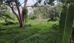 N/A Land for sale in Rawai, Phuket 