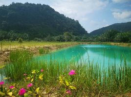  Grundstück zu verkaufen in Sichon, Nakhon Si Thammarat, Sao Phao