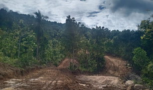 N/A Grundstück zu verkaufen in Ko Pha-Ngan, Koh Samui 