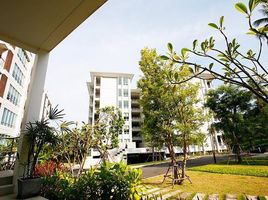 3 Bedroom Penthouse for sale at Palm & Pine At Karon Hill, Karon