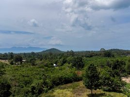  Grundstück zu verkaufen in Koh Samui, Surat Thani, Maenam