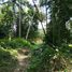  Land for sale in Ubud, Gianyar, Ubud