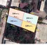  Land for sale in IMPACT Arena, Ban Mai, Khlong Kluea