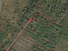  Land for sale in Thailand, Tha Thong Lang, Bang Khla, Chachoengsao, Thailand