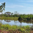  Land for sale in Nakhon Ratchasima, Nai Mueang, Phimai, Nakhon Ratchasima