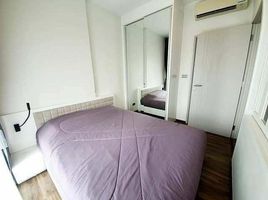 1 Schlafzimmer Appartement zu vermieten im Wyne Sukhumvit, Phra Khanong