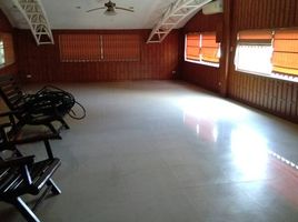 3 Schlafzimmer Warenhaus zu vermieten in Si Sunthon, Thalang, Si Sunthon