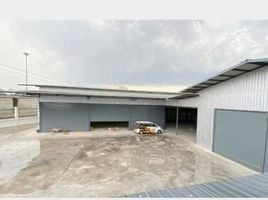  Warehouse for rent in Chon Buri, Bueng, Si Racha, Chon Buri