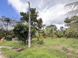  Grundstück zu verkaufen in Thalang, Phuket, Sakhu