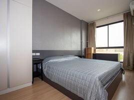 1 Bedroom Apartment for sale at Parano Condo @ Chiangmai, Tha Sala