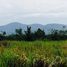  Land for sale in Ratchaburi, Tha Khoei, Suan Phueng, Ratchaburi