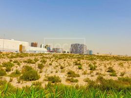  Land for sale at Liwan, Al Reem