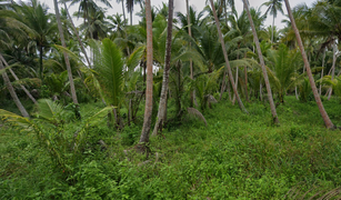 N/A Terrain a vendre à Bang Bai Mai, Koh Samui 