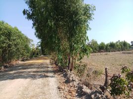  Земельный участок for sale in Phimai, Накхон Ратчасима, Nong Rawiang, Phimai