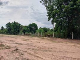  Land for sale in Wang Thong, Wang Thong, Wang Thong