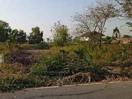  Grundstück zu verkaufen in Sena, Phra Nakhon Si Ayutthaya, Sam Ko, Sena