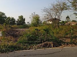  Grundstück zu verkaufen in Sena, Phra Nakhon Si Ayutthaya, Sam Ko