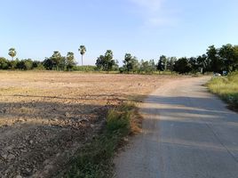 Land for sale in Ban Chian, Hankha, Ban Chian