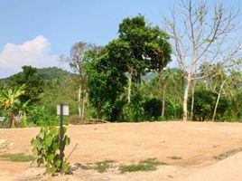  Grundstück zu verkaufen in Ko Chang, Trat, Ko Chang, Ko Chang