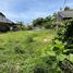  Land for sale in Phuket, Choeng Thale, Thalang, Phuket