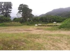  Land for sale in Cartago, Paraiso, Cartago