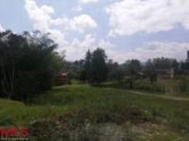  Land for sale in Colombia, Guarne, Antioquia, Colombia