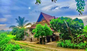 2 Schlafzimmern Haus zu verkaufen in Pua, Nan 