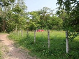  Land for sale in Dong Chen, Phu Kamyao, Dong Chen