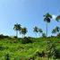  Land for sale in Cabrera, Maria Trinidad Sanchez, Cabrera