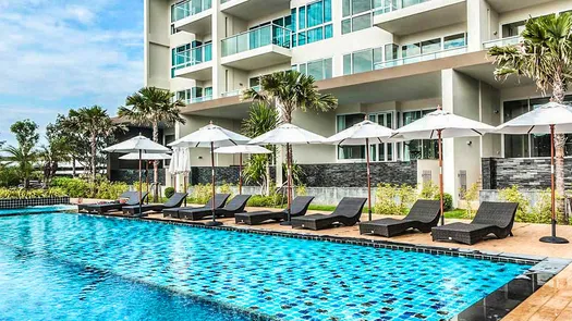 Photos 1 of the Communal Pool at Cetus Beachfront