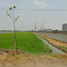  Land for sale in Pathum Thani, Bueng Kham Phroi, Lam Luk Ka, Pathum Thani