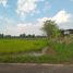  Land for sale in Nong Bua Hi, Phibun Mangsahan, Nong Bua Hi