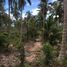  Land for sale in Koh Samui, Maenam, Koh Samui