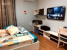 Studio Condo for rent at Chung cư Mỹ Phước, Ward 2