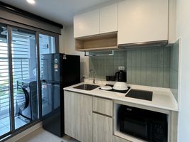 1 Schlafzimmer Wohnung zu vermieten im Phyll Phuket by Central Pattana, Wichit