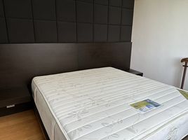 2 Schlafzimmer Appartement zu vermieten im Ficus Lane, Phra Khanong, Khlong Toei