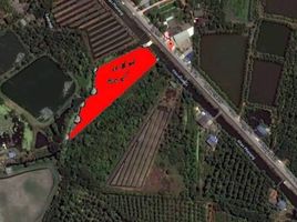  Land for sale in Samut Sakhon, Khlong Tan, Ban Phaeo, Samut Sakhon