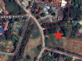  Land for sale in Fang, Chiang Mai, Wiang, Fang