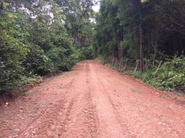  Grundstück zu verkaufen in Phu Phiang, Nan, Fai Kaeo