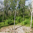  Land for sale in Narathiwat, Manang Tayo, Mueang Narathiwat, Narathiwat