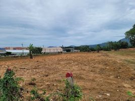  Land for sale in Thalang National Museum, Si Sunthon, Si Sunthon