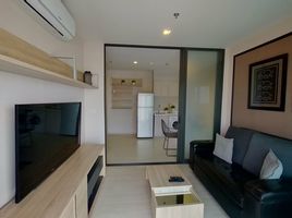 1 Bedroom Condo for rent at Life Sukhumvit 48, Phra Khanong