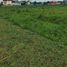  Land for sale in Nakhon Pathom, Yai Cha, Sam Phran, Nakhon Pathom