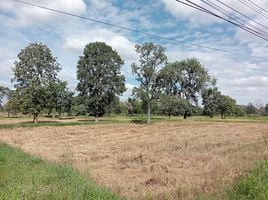  Land for sale in Nong Bua Khok, Lam Plai Mat, Nong Bua Khok