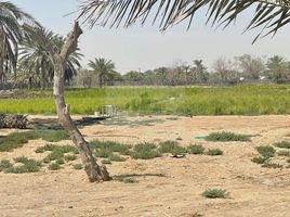  Grundstück zu verkaufen im Al Rahba, Al Muneera, Al Raha Beach