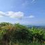  Land for sale in Lipa Noi, Koh Samui, Lipa Noi