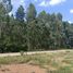 Land for sale in Krok Sombun, Prachin Buri, Krok Sombun, Si Maha Phot, Prachin Buri