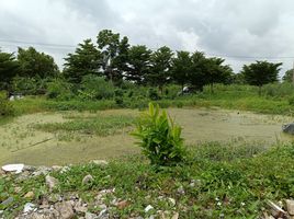  Land for sale in Khlong Hok, Khlong Luang, Khlong Hok