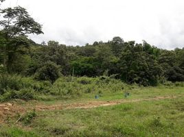  Land for sale in On Tai, San Kamphaeng, On Tai